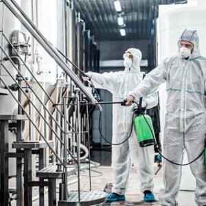 Seguridad e Higiene en la Industria Alimentaria (INAD045PO)