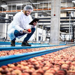 Sistemas de Calidad en la Industria Alimentaria (INAD047PO)