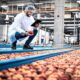 Sistemas de Calidad en la Industria Alimentaria (INAD047PO)